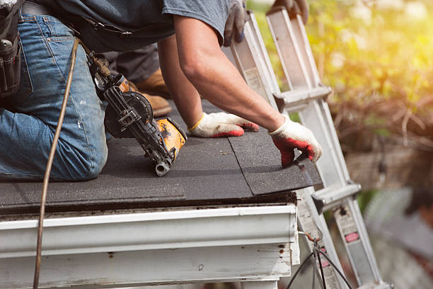 Best Roof Gutter Cleaning  in Green Knoll, NJ